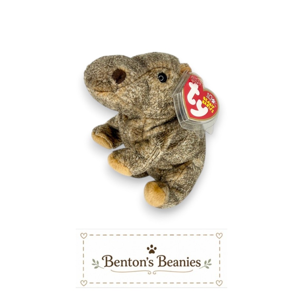 Tubbo the Hippo Ty Beanie Baby | Riverbank Lounger 🌊 | Mint Heart Tag ⭐